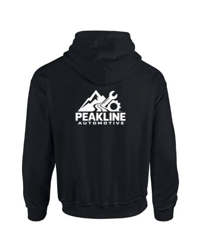Vault pullover hoodie in black, the back