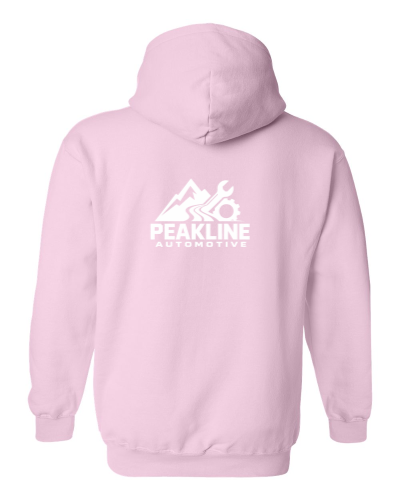 Heavy Blend hoodie in light pink, the back